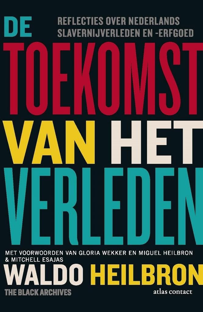 De toekomst van het verleden (9789045050812, Waldo Heilbron), Boeken, Politiek en Maatschappij, Nieuw, Verzenden