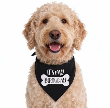 Honden bandana Its my Birthday zwart, Ophalen of Verzenden, Nieuw, Overige typen