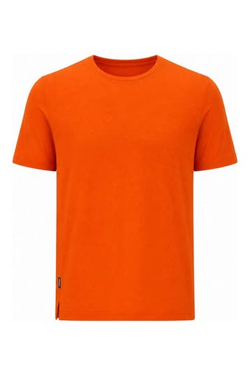 Icebreaker T-shirt in maat XL Oranje, Verzenden, Zo goed als nieuw, Overige kleuren, Icebreaker