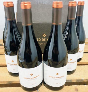 2021 Castillo de Mendoza, Autor Ecológico - Rioja - 6, Nieuw