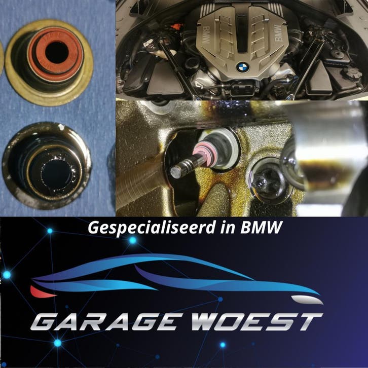 BMW blauwe rook of olieverbruik? Klepseals vervangen, Diensten en Vakmensen, Auto en Motor | Monteurs en Garages, Garantie