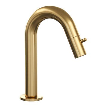 Brauer Gold Edition Fonteinkraan Opbouw Gebogen Uitloop Goud, Ophalen of Verzenden, Nieuw