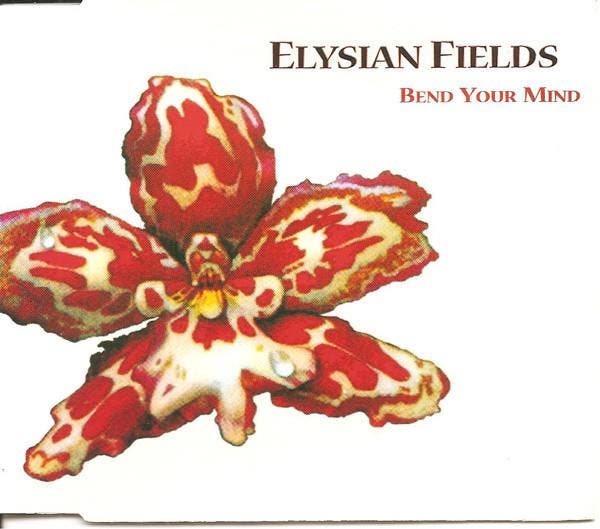 cd single - Elysian Fields - Bend Your Mind, Cd's en Dvd's, Cd Singles, Zo goed als nieuw, Verzenden