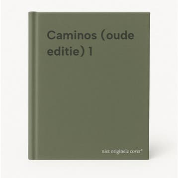 Caminos (oude editie) 1 9789054510659, Verzenden, Gelezen