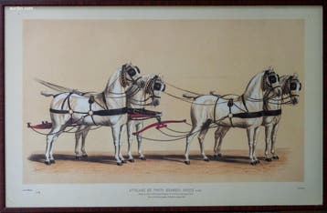 Drie antieke Franse kleurenlithografieën van..., Nieuw