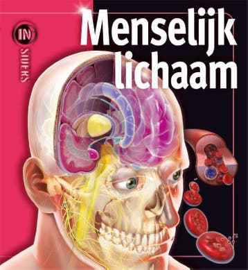 Het menselijk lichaam / Insiders - Linda Calabresi, Verzenden, Zo goed als nieuw, Linda Calabresi
