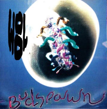 cd - Wool - Budspawn, Verzenden, Zo goed als nieuw