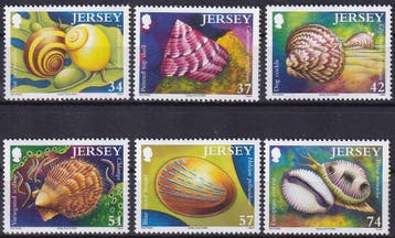Jersey - 2006 - Schelpen - Postfris, Verzenden, Overige landen, Postfris