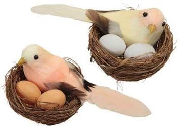 Vogelnestjes met 1 vogel en 2 eitjes yellow orange zalm 7.5, Ophalen of Verzenden, Nieuw