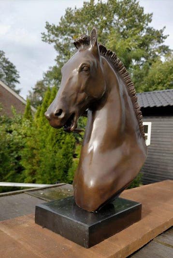 Beeld, horsehead - 34 cm - brons marmer