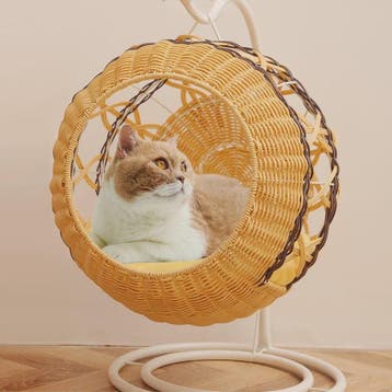 Luxe Rotan Kattenmand Hangend Nest - Comfortabel & Wasbaar, Verzenden, Nieuw