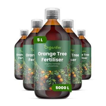 Sinaasappelboom Vloeibare Meststof - Set 5x1 liter, Verzenden, Mest