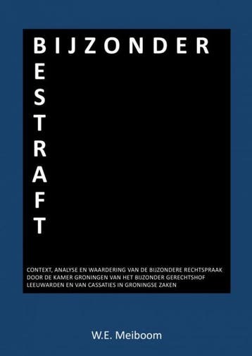 Bijzonder Bestraft | W.E. Meiboom | Nieuw, Boeken, Ophalen of Verzenden, Nieuw, W.E. Meiboom