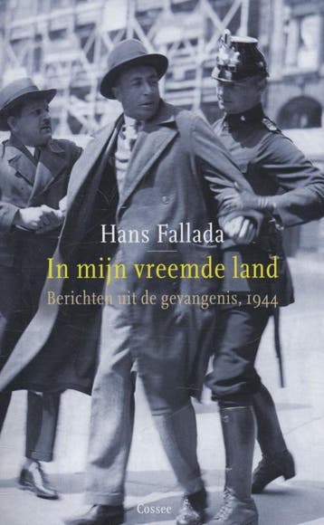 In mijn vreemde land - Hans Fallada 9789059364509, Verzenden, Gelezen, Hans Fallada