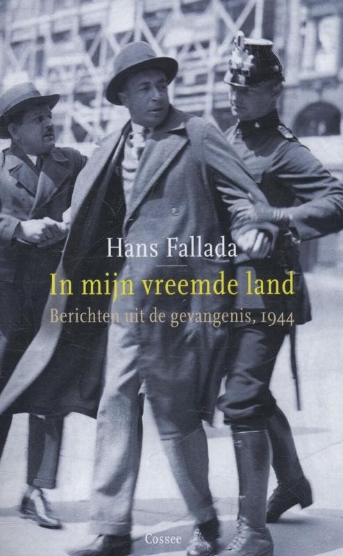 In mijn vreemde land - Hans Fallada 9789059364509, Boeken, Romans, Gelezen, Verzenden
