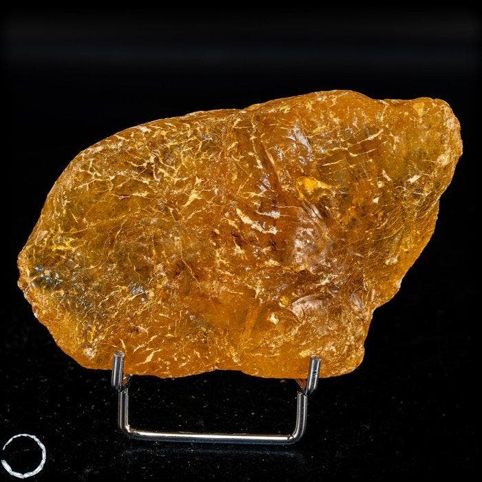 natuurlijke ruwe barnsteen – Zeldzame lichtkracht met, Verzamelen, Mineralen en Fossielen