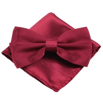 Fako Fashion - Vlinderstrik Met Pochette - Vlinderdas -, Kleding | Heren, Stropdassen, Verzenden, Nieuw