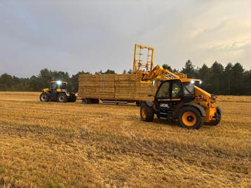 NIEUWE OOGST GERSTE STRO - TARWE STRO GESENDEN EN ONGESNEDEN, Vee