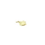 Gouden hanger van een vis. (Hanger of bedel), Ophalen of Verzenden, Gebruikt, Goud, Overige merken