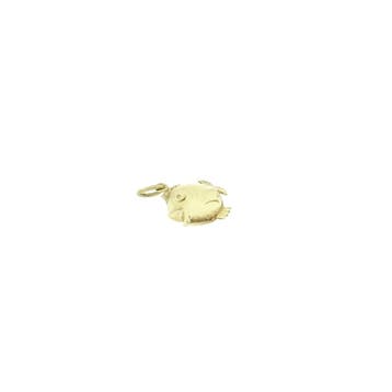 Gouden hanger van een vis. (Hanger of bedel), Ophalen of Verzenden, Gebruikt, Goud, Overige merken