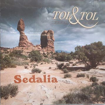 cd - Cees Tol &amp; Thomas Tol* - Sedalia, Cd's en Dvd's, Verzenden, Zo goed als nieuw