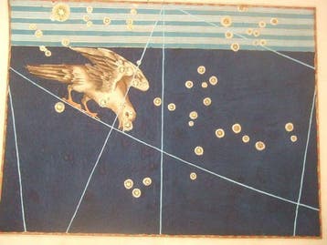 Celestial - Zuidelijke Celest. hemisfeer; Johann Bayer -, Boeken, Nieuw
