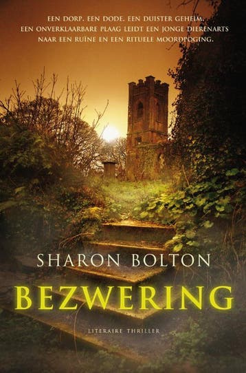Bezwering - Sharon Bolton 9789022993965, Boeken, Thrillers, Verzenden, Zo goed als nieuw, Sharon Bolton