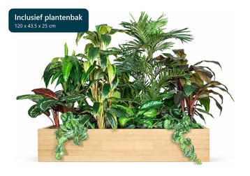 Kunstplantenpakket Oerwoud met plantenbak, 120 cm, Ophalen of Verzenden, Palm, 100 tot 150 cm
