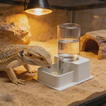 Automatische Reptielen Voerbak & Waterdispenser - Zelfvoorzi, Dieren en Toebehoren