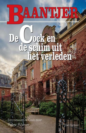De Cock en de schim uit het verleden / Baantjer / 88, Boeken, Verzenden, Gelezen, Baantjer