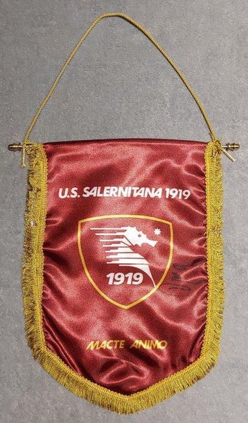 Salernitana - Italiaanse voetbal competitie - Milan Djuric -, Nieuw
