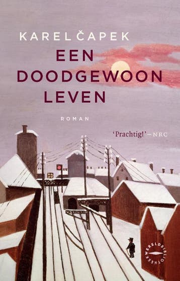 Een Doodgewoon Leven | Karel apek | Nieuw, Ophalen of Verzenden, Nieuw, Karel apek
