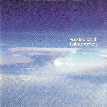 cd - Voodoo Child - Baby Monkey, Verzenden, Zo goed als nieuw