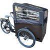 Elektrische Bakfiets Vogue Caddy – €1699 SUPERDEAL, Fietsen en Brommers, Overige merken, 4 kinderen of meer, Huif, Nieuw