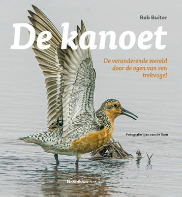 De Kanoet | Rob Buiter | Nieuw, Boeken, Ophalen of Verzenden, Nieuw, Rob Buiter
