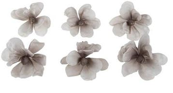 Anemoon Foambloem Grey White 6 cm pak 6 stuks, Ophalen of Verzenden, Nieuw