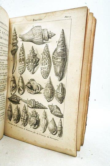 Antoine-Joseph Dezallier dArgenville - Histoire naturelle
