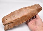 Chalcolithisch Vuursteen Verbazingwekkende grote Blade Core