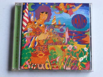 Boudewijn de Groot - Picknick (geremastered), Cd's en Dvd's, Ophalen of Verzenden, Zo goed als nieuw
