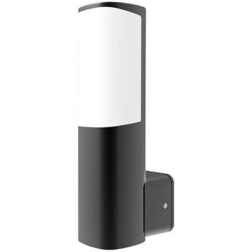 LED Tuinverlichting - Buitenlamp - Brinton Tarin - 7W -, Ophalen of Verzenden, Nieuw