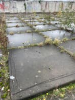 Gebruikte betonplaat 200x200x14 zonder hoeklijn B-Keus..., Doe-het-zelf en Verbouw, Ophalen of Verzenden, Nieuw