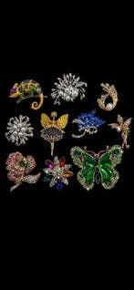 Uitmuntende thematische collectie broches met zeer heldere, Antiek en Kunst