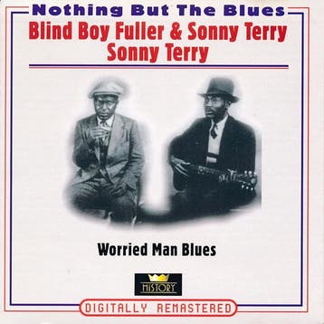 cd - Blind Boy Fuller - Worried Man Blues, Verzenden, Zo goed als nieuw