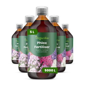 Phlox Vloeibare meststof - Set 5x1 liter, Verzenden, Mest