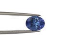 1 pcs Blauw, Violet Tanzaniet - 2.19 ct - International, Nieuw