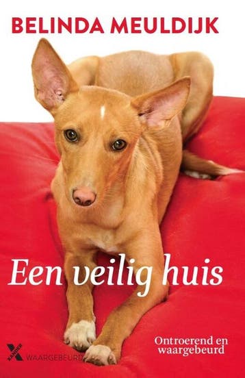 Een veilig huis - Belinda Meuldijk 9789401604840, Verzenden, Zo goed als nieuw, Belinda Meuldijk