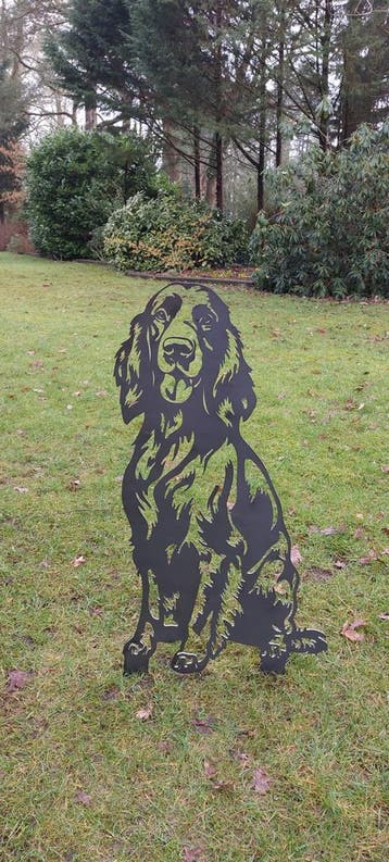 Ierse setter - Levensecht, Verzenden, Nieuw