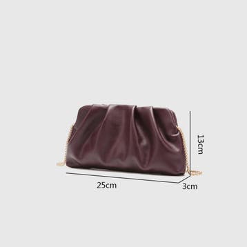 Luxe Plissé Avondtas met Gouden Ketting - Clutch & Schoudert, Verzenden, Nieuw