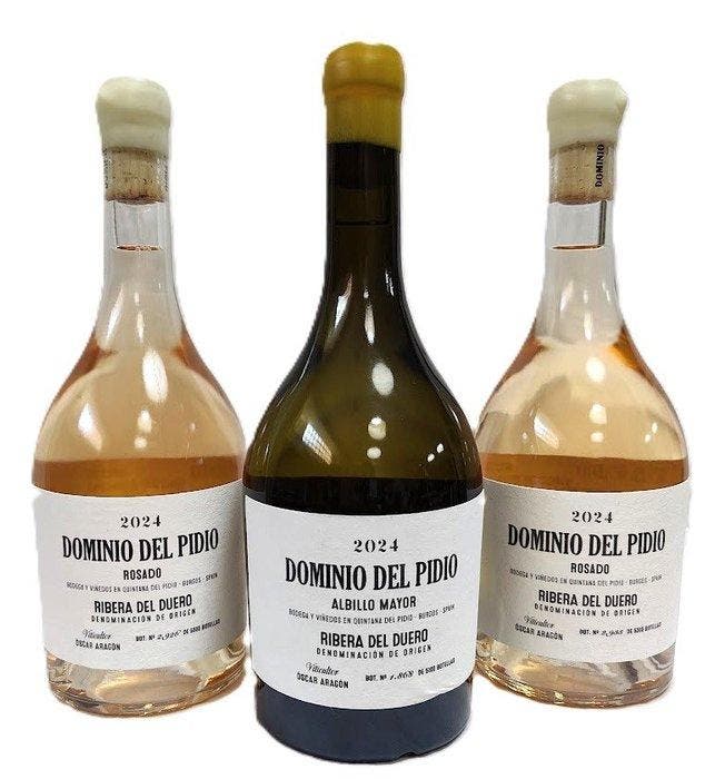 2024 Dominio del Pidio albillo, white wine x1 & 2024 Rose, Verzamelen, Wijnen