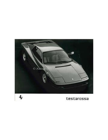 1984 FERRARI TESTAROSSA PERSMAP DUITS 324/84, Boeken, Nieuw, Ferrari, Author